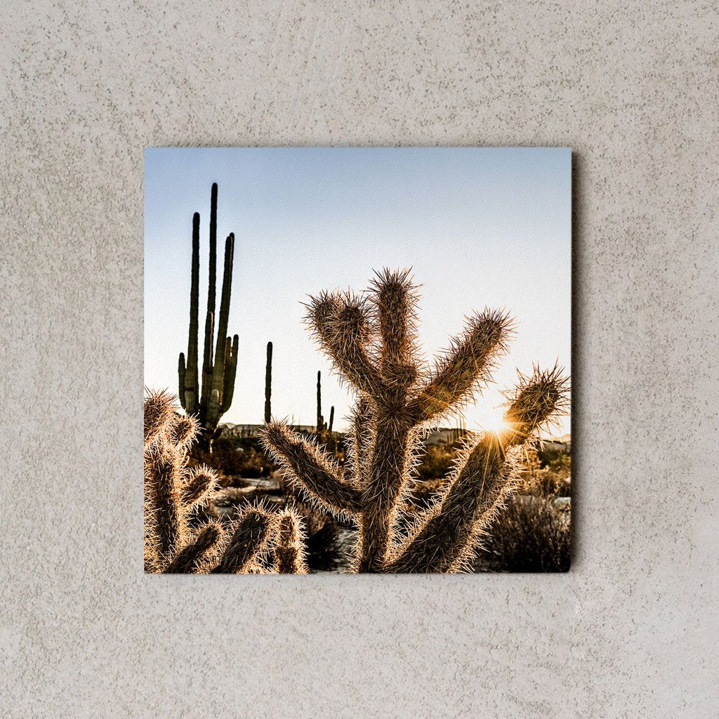 MiniWall - Deserto di Catavina, alba