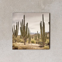 Cargar imagen en el visor de la galería, MiniWall - Loreto, cactus Cardon
