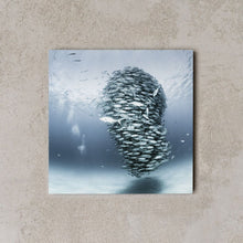 Cargar imagen en el visor de la galería, MiniWall - Cabo Pulmo 1