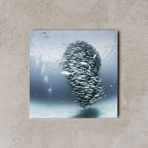 MiniWall - Cabo Pulmo 1