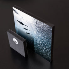Load image into Gallery viewer, MiniWall - Cabo Pulmo 2