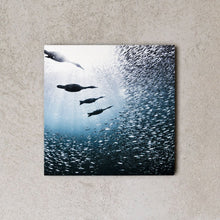 Load image into Gallery viewer, MiniWall - Cabo Pulmo 2
