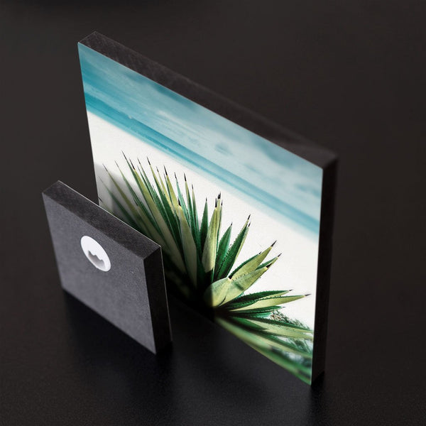 MiniWall - Agave