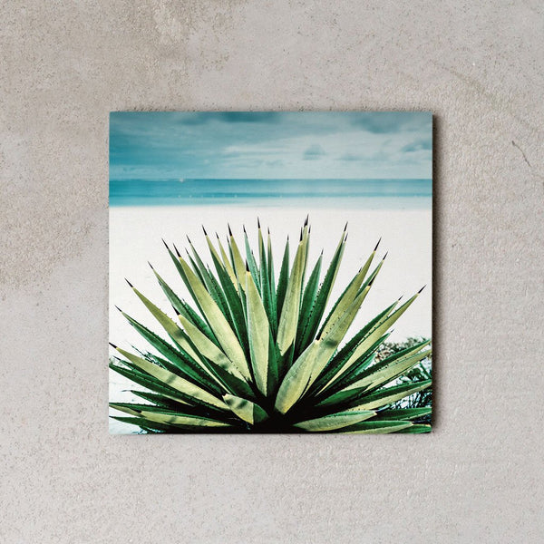 MiniWall - Agave