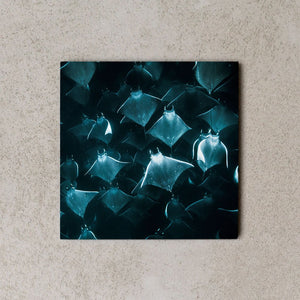 MiniWall - Mante