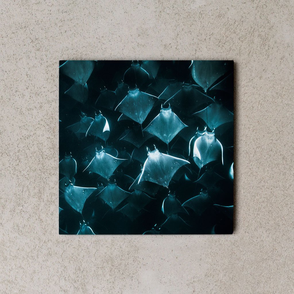 MiniWall - Mante