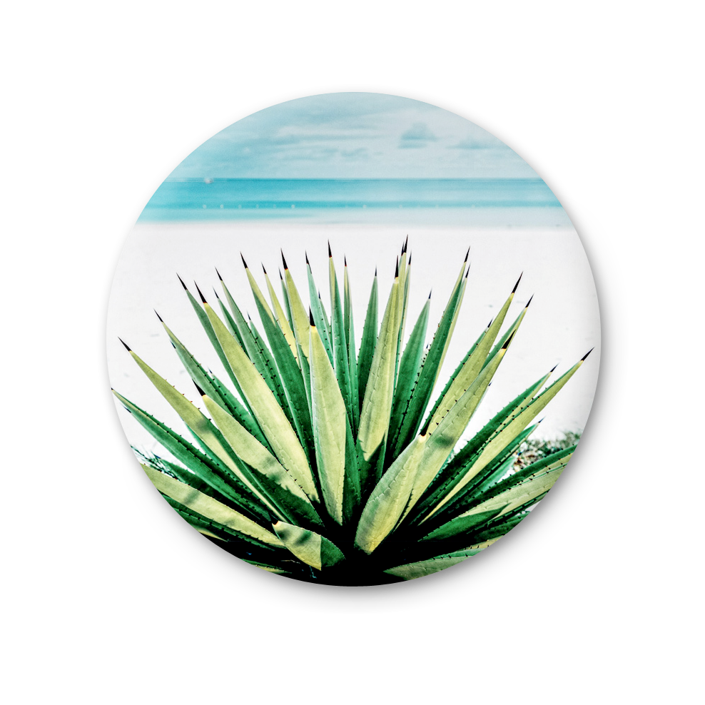 Round Magnet - Agave - Baja California Gallery