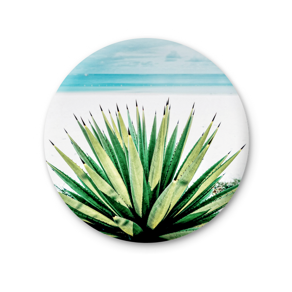 Round Magnet - Agave - Baja California Gallery