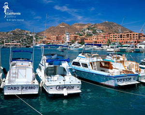 © BVH-00704404 | Mexico/Baja California Sur, Cabo San Lucas