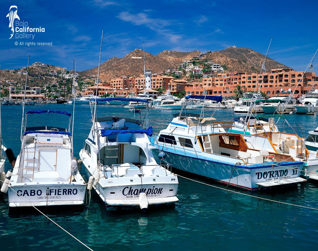 © BVH-00704404 | Mexico/Baja California Sur, Cabo San Lucas