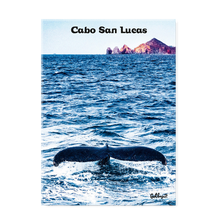 Load image into Gallery viewer, Cabo San Lucas, Whale