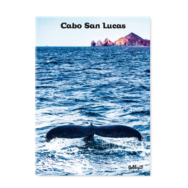 Cabo San Lucas, Whale