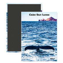 Load image into Gallery viewer, Cabo San Lucas, Whale
