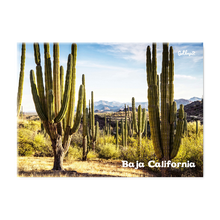 Load image into Gallery viewer, The Giant cactus