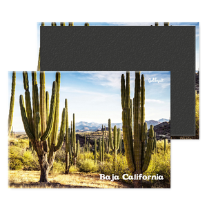 The Giant cactus