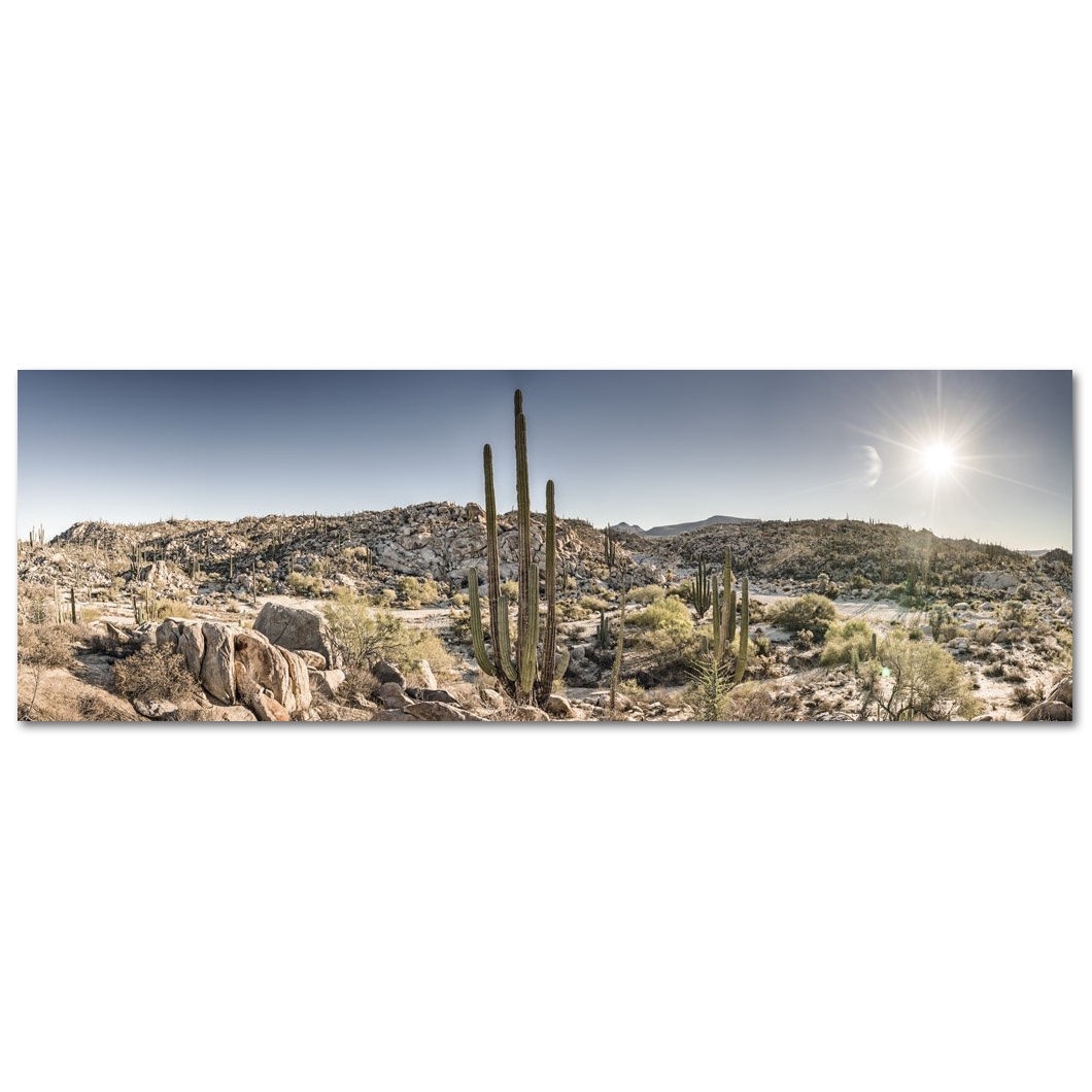 Desierto de Catavina