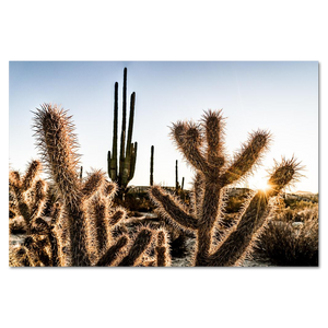 Amenecer en el desierto de Catavina