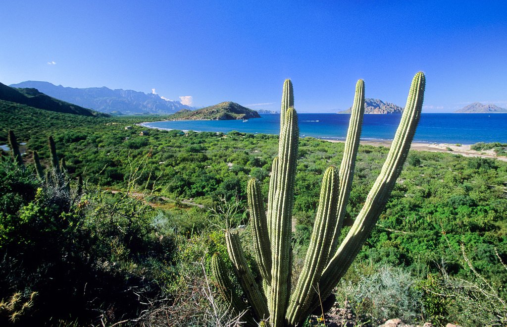 © SIM-415972 | Mexico/Baja California Sur, Loreto