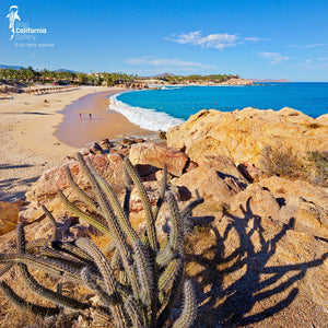 © SIM-426615 | Mexico/Baja California Sur, Cabo San Lucas