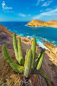 © SIM-426737 | Mexico/Baja California Sur, Cabo San Lucas