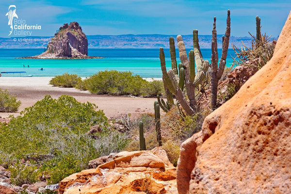 © SIM-426854 | Mexico/Baja California Sur, La Paz
