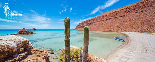 © SIM-426859 | Mexico/Baja California Sur, La Paz