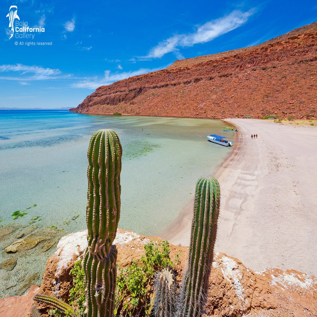 © SIM-426860 | Mexico/Baja California Sur, La Paz