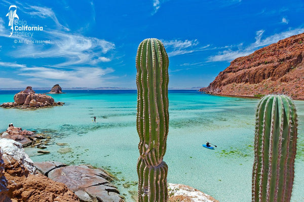 © SIM-426864 | Mexico/Baja California Sur, La Paz
