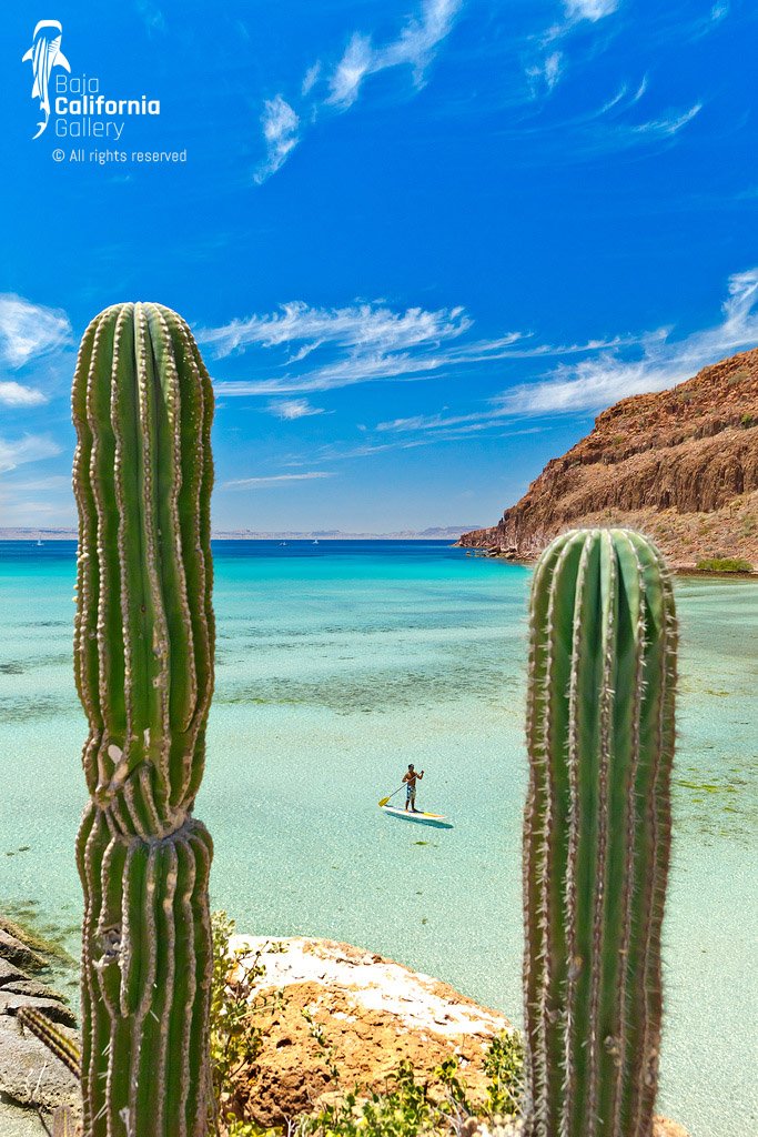 © SIM-426866 | Mexico/Baja California Sur, La Paz