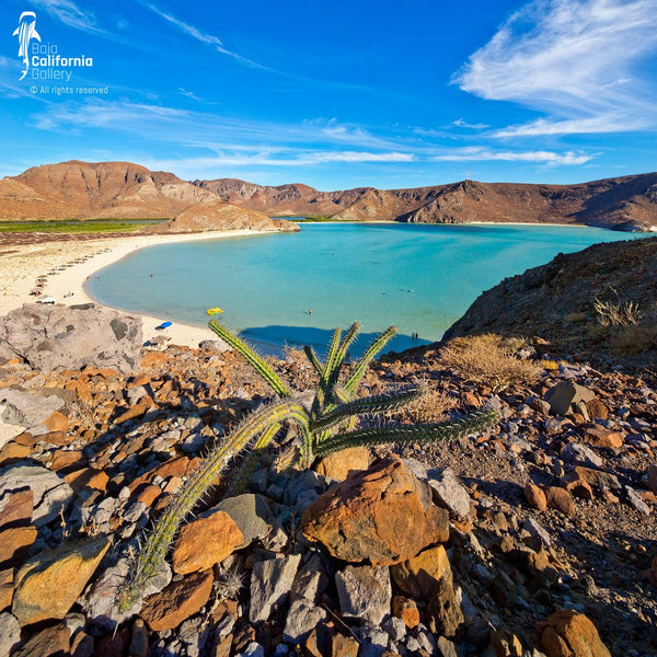 © SIM-426885 | Mexico/Baja California Sur, La Paz