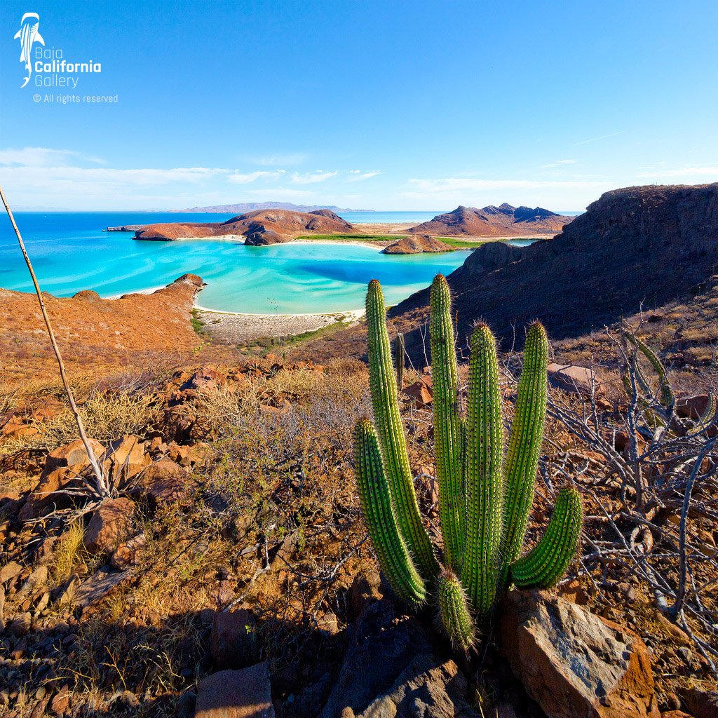 © SIM-426893 | Mexico/Baja California Sur, La Paz