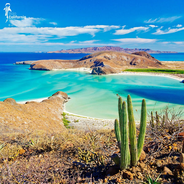 © SIM-426894 | Mexico/Baja California Sur, La Paz