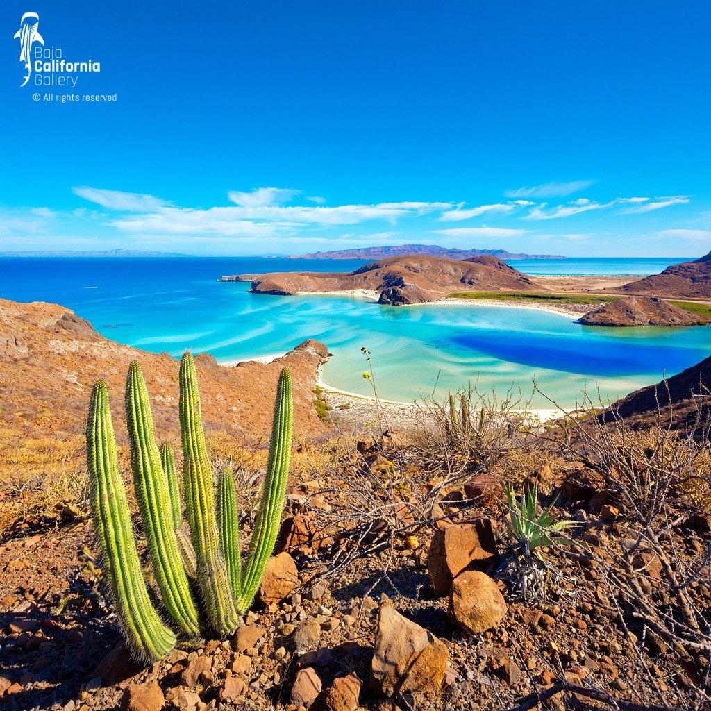 © SIM-426895 | Mexico/Baja California Sur, La Paz