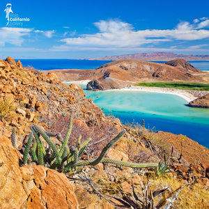 © SIM-426900 | Mexico/Baja California Sur, La Paz