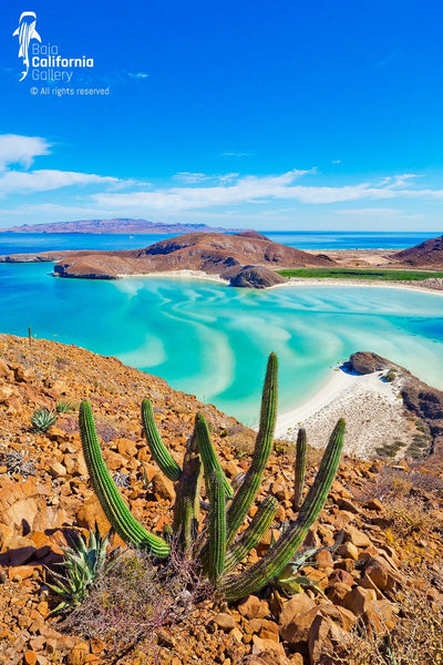 © SIM-426905 | Mexico/Baja California Sur, La Paz