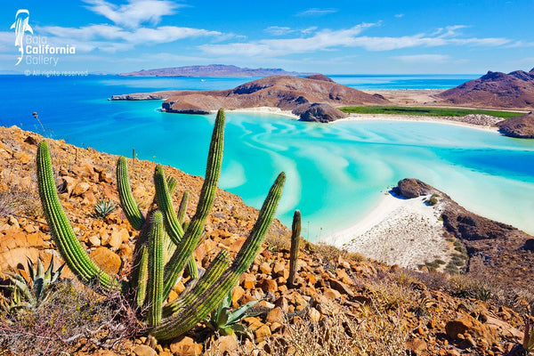 © SIM-426906 | Mexico/Baja California Sur, La Paz