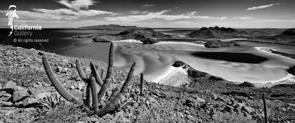 © SIM-426907 | Mexico/Baja California Sur, La Paz