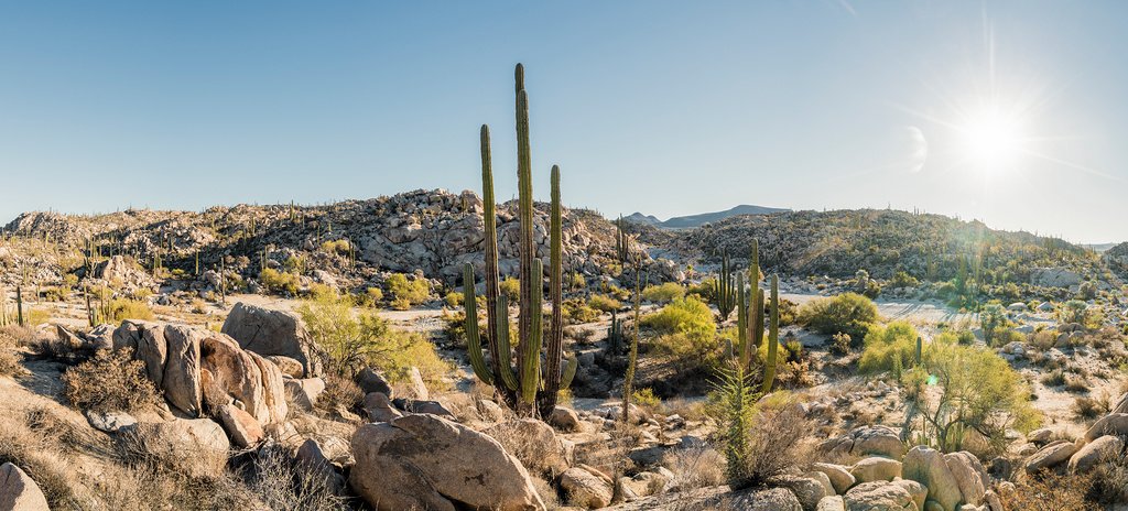 © SIM-490246 | Mexico/Baja California