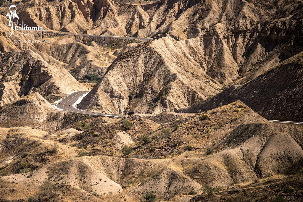 © SIM-490291 | Mexico/Baja California Sur