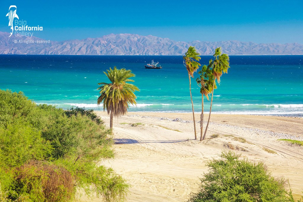© SIM-512570 | Mexico/Baja California Sur