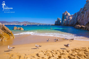 © SIM-512603 | Mexico/Baja California Sur, Cabo San Lucas