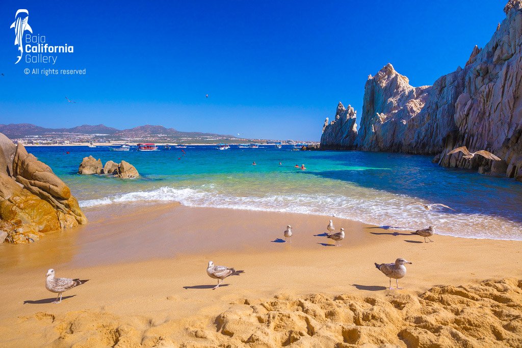 © SIM-512603 | Mexico/Baja California Sur, Cabo San Lucas