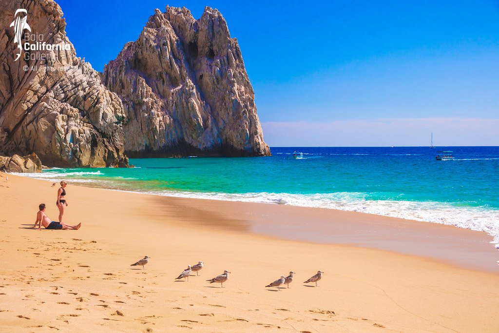 © SIM-512604 | Mexico/Baja California Sur, Cabo San Lucas