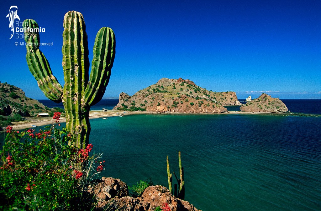 © SIM-740739-BSP | Mexico/Baja California Sur, Loreto