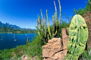© SIM-740755-BSP | Mexico/Baja California Sur, Loreto
