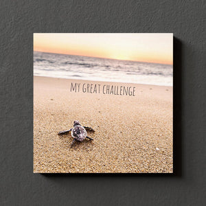 MiniWall - My great challenge
