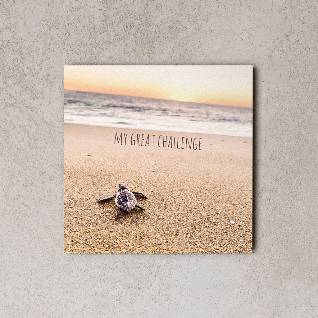 MiniWall - My great challenge
